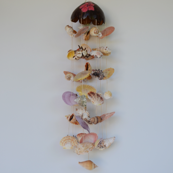 Colourful shell hanger with 1/2 coconut