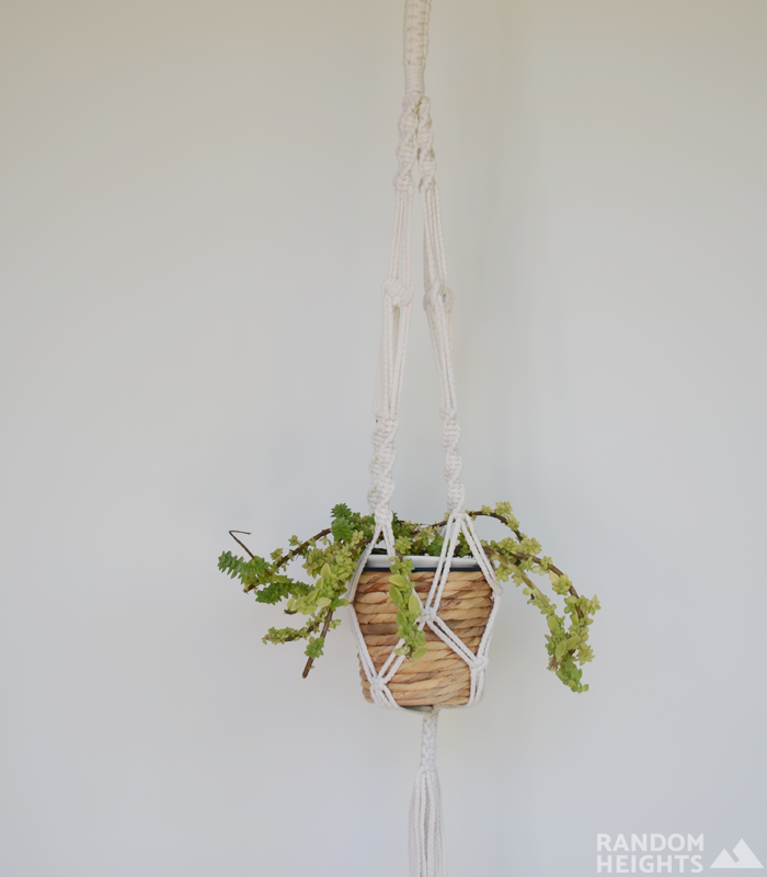 Macrame Plant Hanger in a cane basket with & plant