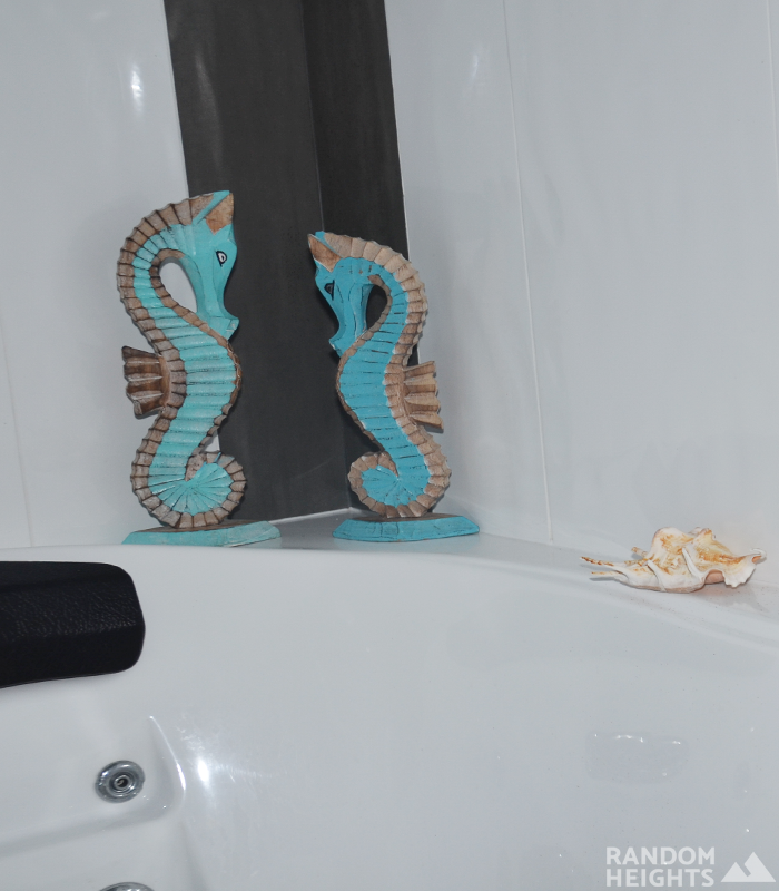 2 aqua wooden seahorses in a bathroom